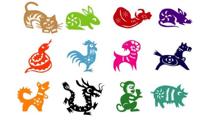 màu mạng gà đá