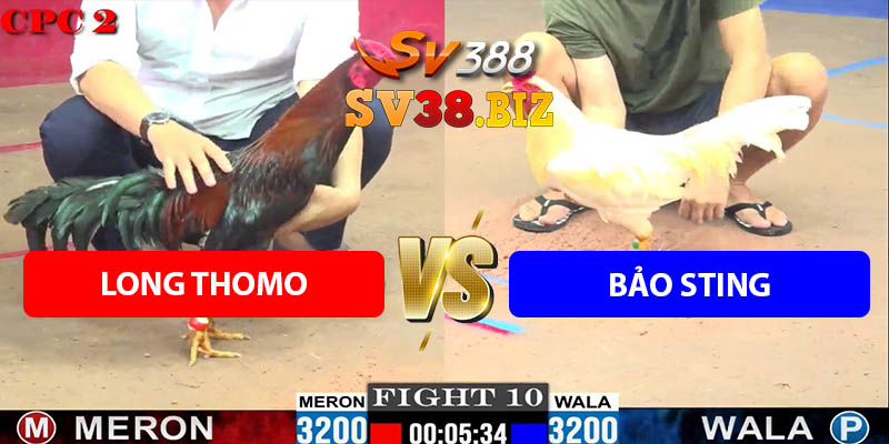 Trận 10 Bồ CPC2 16/7/2025 - A Long Bật 5G Hạ A Bảo Sting