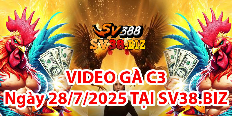 VIDEO GÀ C3 Ngày 28/7/2025 TẠI SV38.BIZ