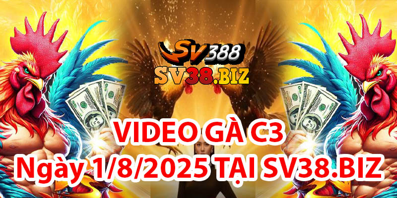 VIDEO GÀ C3 Ngày 1/8/2025 TẠI SV38.BIZ