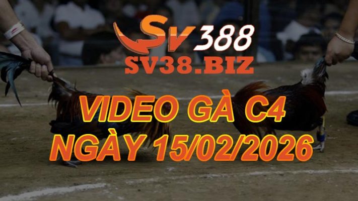 VIDEO GÀ C4 Ngày 15/2/2026