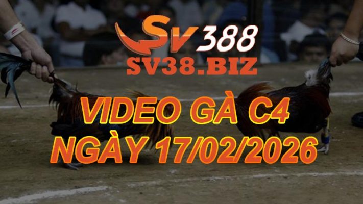 VIDEO GÀ CPC4 Ngày 17/2/2026