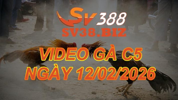 VIDEO GÀ C5 Ngày 12/2/2026 TẠI SV38.BIZ