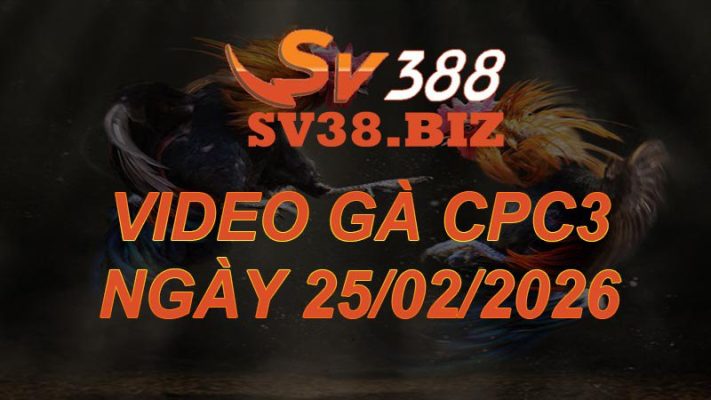 VIDEO GÀ CPC3 Ngày 25/2/2026