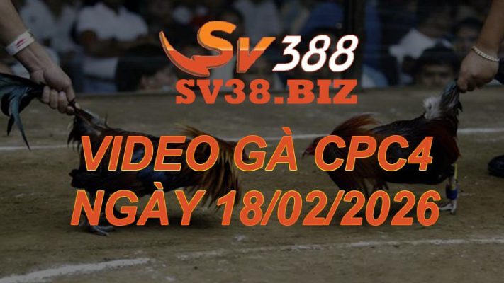 VIDEO GÀ CPC4 Ngày 18/2/2026