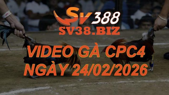 VIDEO GÀ CPC4 Ngày 24/2/2026