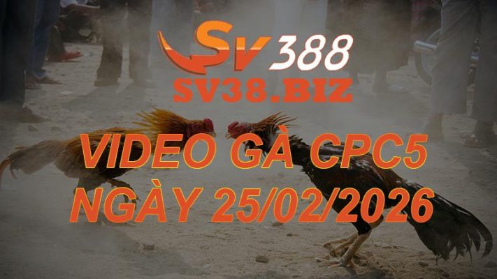 VIDEO GÀ CPC5 Ngày 25/2/2026