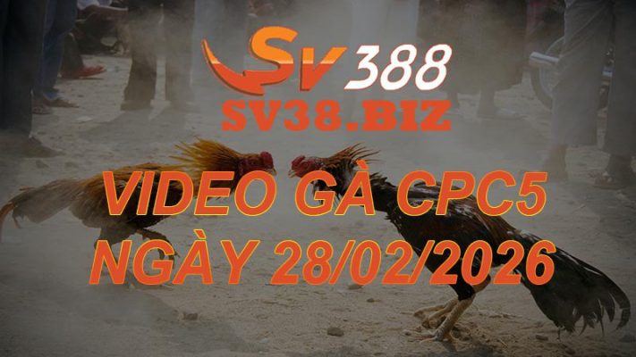 VIDEO GÀ CPC5 Ngày 28/2/2026