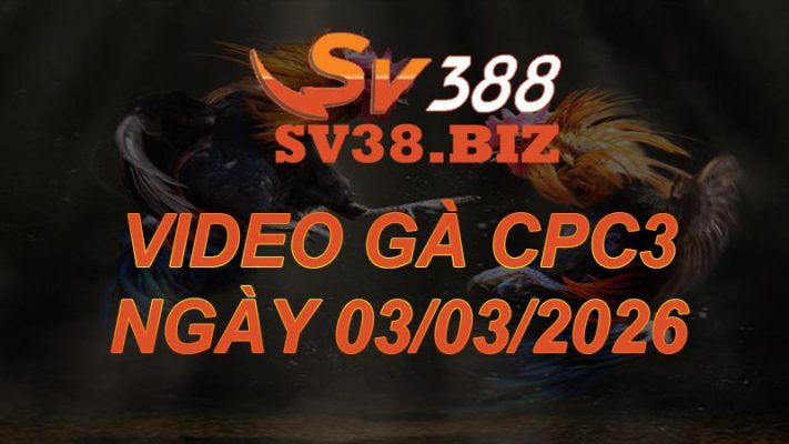 VIDEO GÀ CPC3 Ngày 3/3/2026