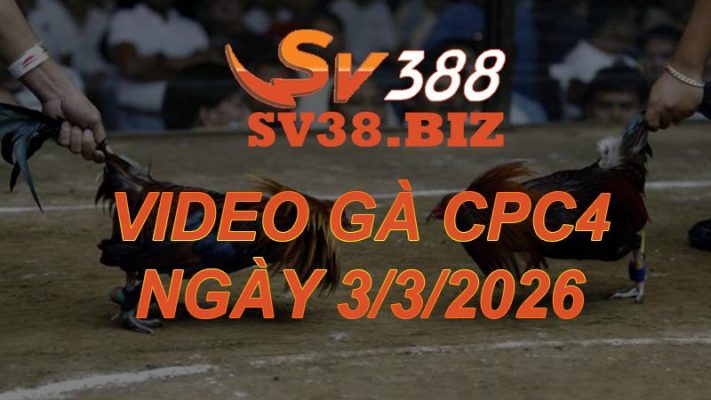 VIDEO GÀ CPC4 Ngày 3/3/2026