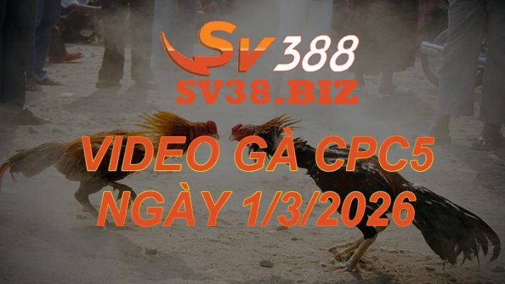 VIDEO GÀ CPC5 Ngày 1/3/2026