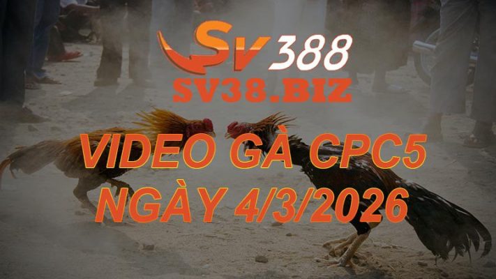 VIDEO GÀ CPC5 Ngày 4/3/2026
